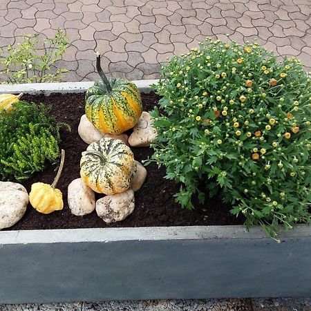 Ferienwohnung "Auszeit" Hofheim in Unterfranken Exteriör bild
